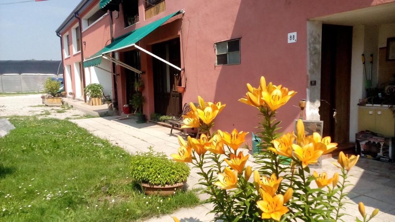 Farm stay Biogarden *